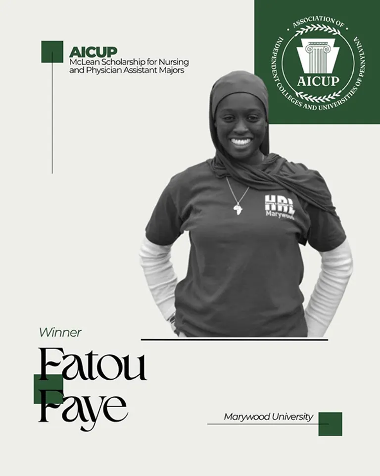 fatou faye flyer